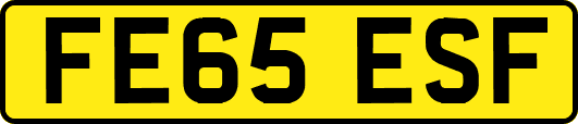 FE65ESF