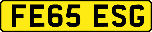 FE65ESG
