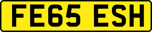 FE65ESH