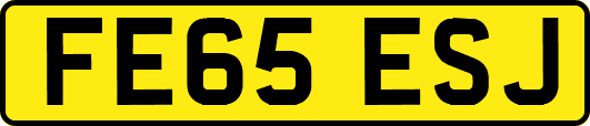 FE65ESJ