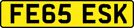 FE65ESK