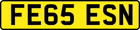 FE65ESN