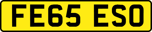 FE65ESO
