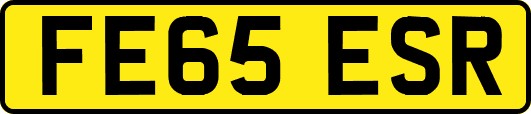 FE65ESR