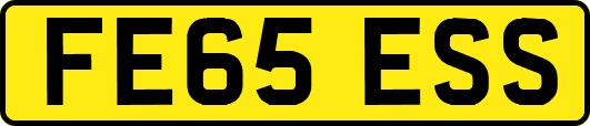 FE65ESS