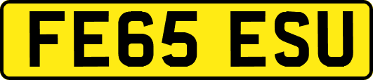 FE65ESU
