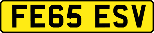 FE65ESV