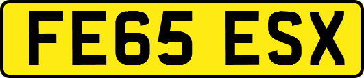 FE65ESX