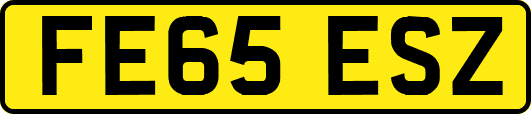 FE65ESZ