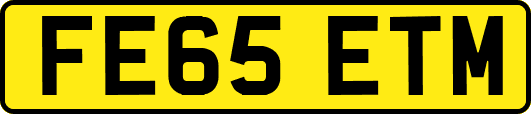 FE65ETM