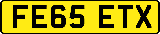 FE65ETX