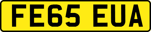 FE65EUA