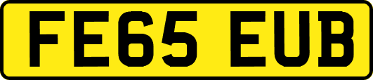 FE65EUB