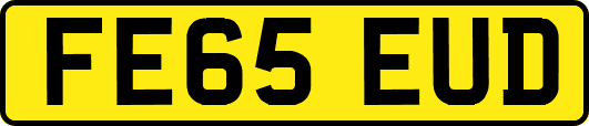 FE65EUD