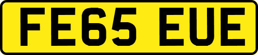 FE65EUE