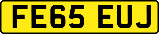 FE65EUJ