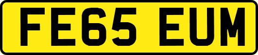 FE65EUM