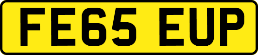 FE65EUP