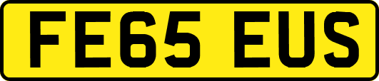 FE65EUS