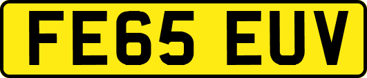 FE65EUV