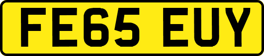 FE65EUY