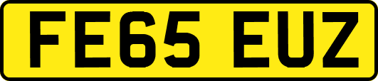 FE65EUZ