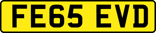 FE65EVD