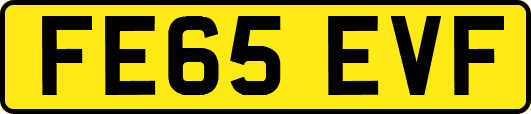 FE65EVF