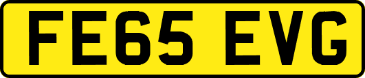 FE65EVG