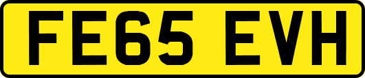 FE65EVH