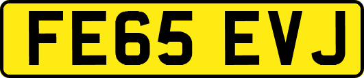 FE65EVJ