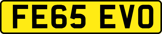FE65EVO