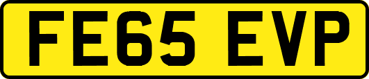 FE65EVP