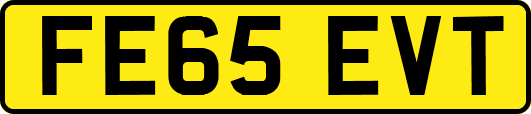 FE65EVT