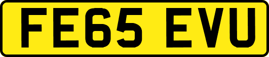 FE65EVU