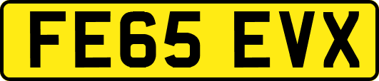 FE65EVX