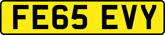 FE65EVY