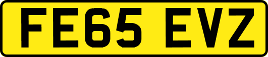 FE65EVZ