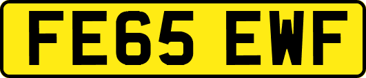 FE65EWF