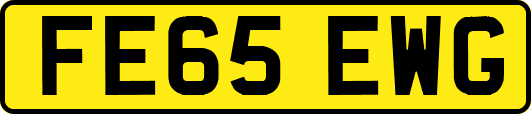 FE65EWG