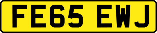 FE65EWJ