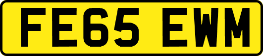 FE65EWM