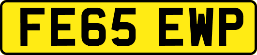 FE65EWP