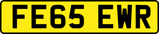 FE65EWR