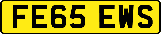FE65EWS