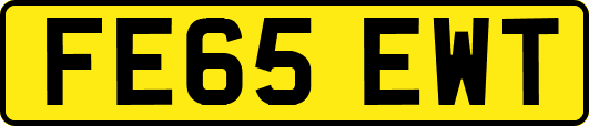 FE65EWT