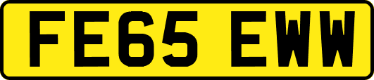 FE65EWW