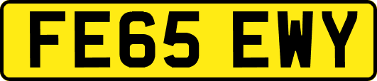 FE65EWY