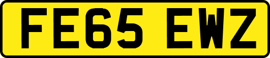 FE65EWZ