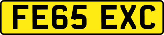 FE65EXC
